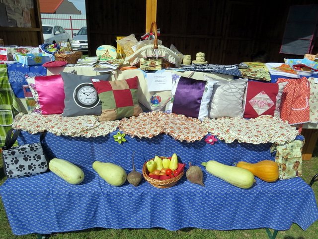 Megyei Közfoglalkoztatási Kiállítás 046